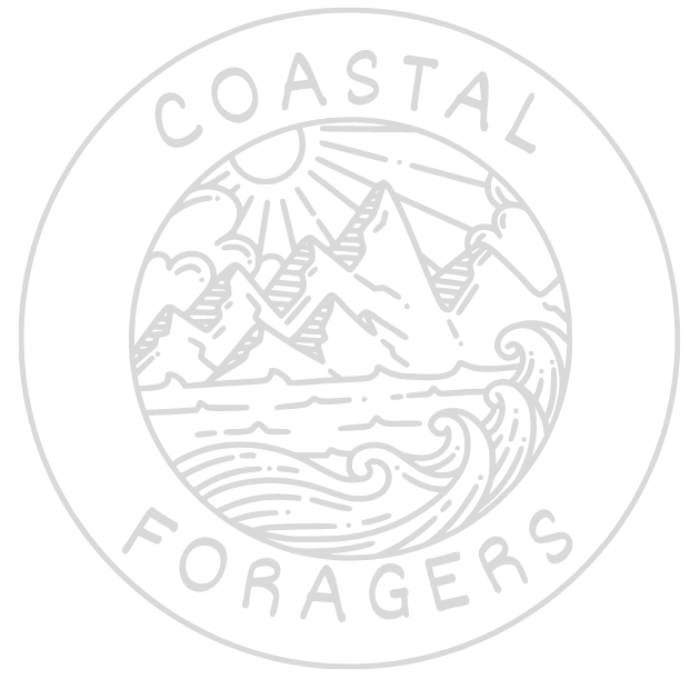 Coastal Foragers 